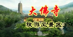 操逼毛片网站进入中国浙江-新昌大佛寺旅游风景区